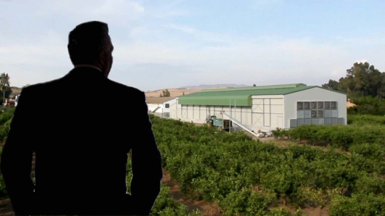 El Protocolo Familiar: cómo asegurar su cumplimiento