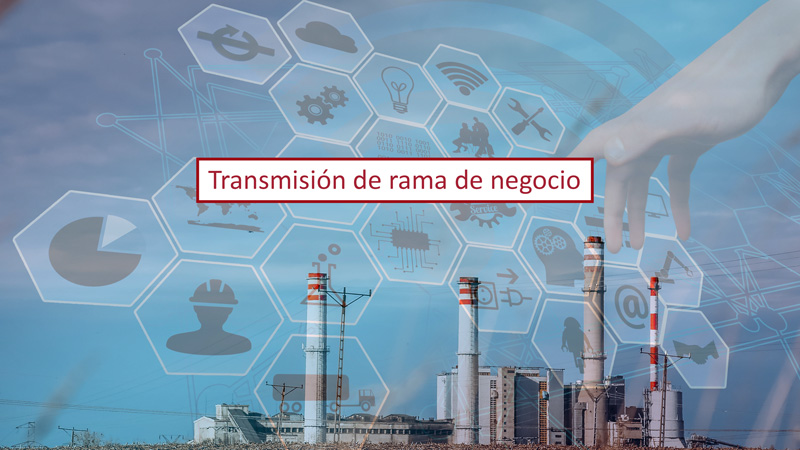 Transmision De Rama De Actividad 800