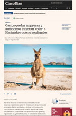 Gastos Colados A Hacienda Como Deducibles Ilegales