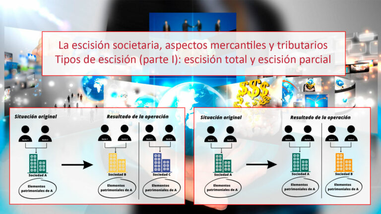 Types of divisions (Part I): total and partial