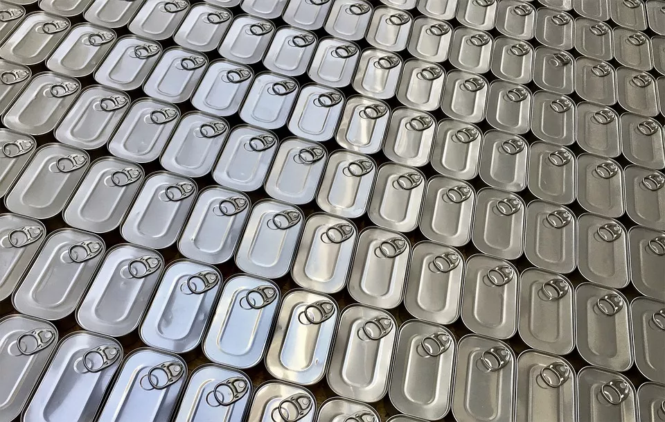 Cans 2694735 960 720