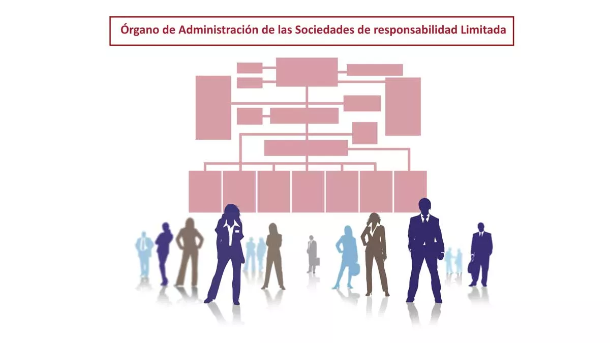 Organo Administracion Sl