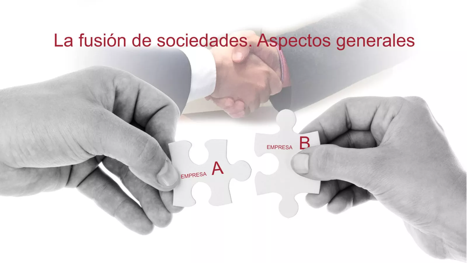 Fusion De Sociedades