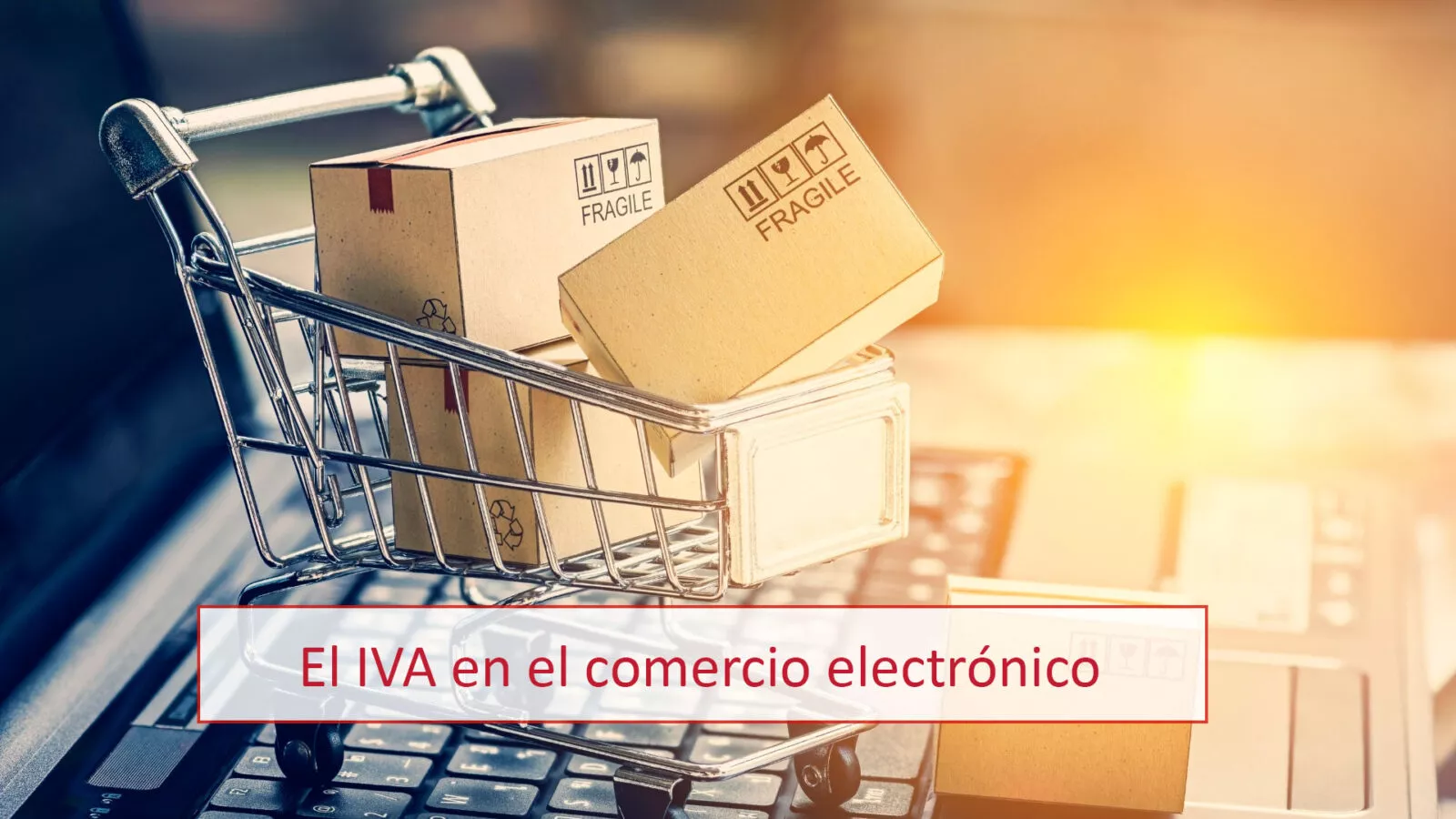 Iva Comercio Electronico