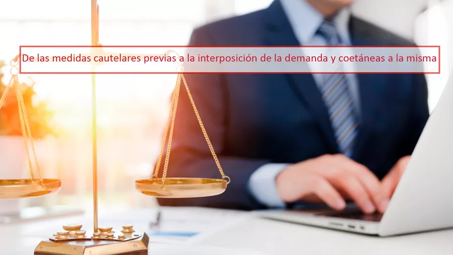 Medidas cautelares previas a la interposición de la demanda