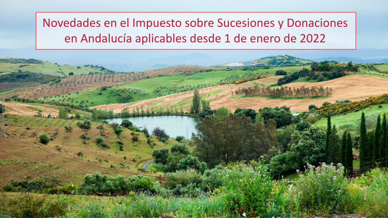 Donaciones Andalucia 1 Enero 2022